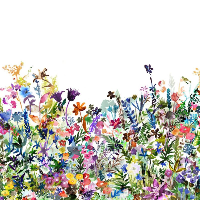 May Meadow Rebel Walls